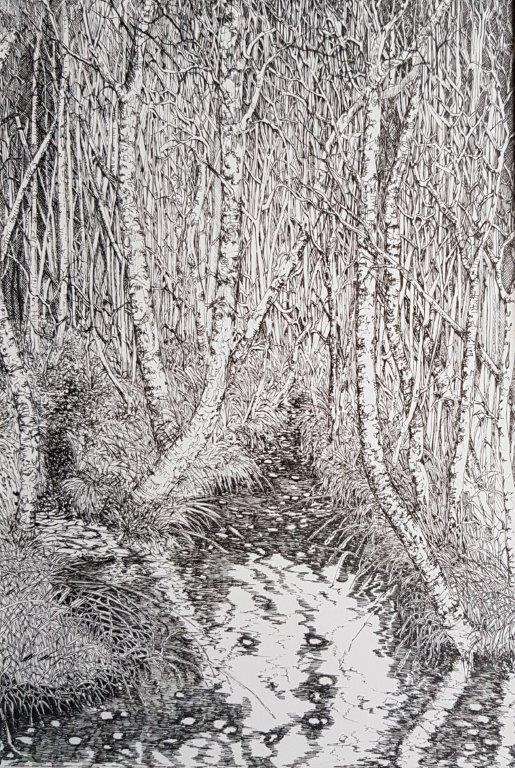 Pen & Ink - After Wild Wood